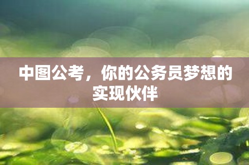 中图公考，你的公务员梦想的实现伙伴