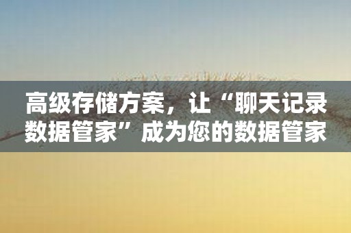 高级存储方案，让“聊天记录数据管家”成为您的数据管家！