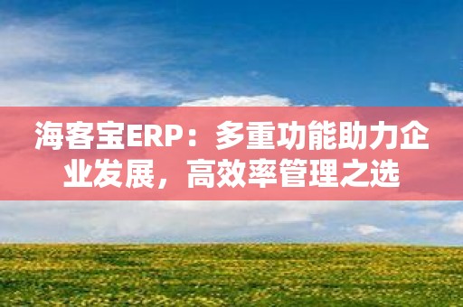 海客宝ERP：多重功能助力企业发展，高效率管理之选