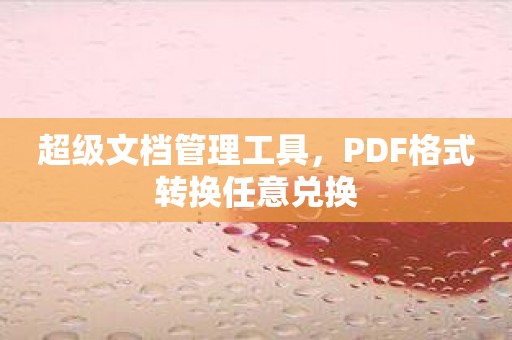 超级文档管理工具，PDF格式转换任意兑换