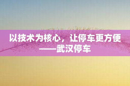 以技术为核心，让停车更方便——武汉停车