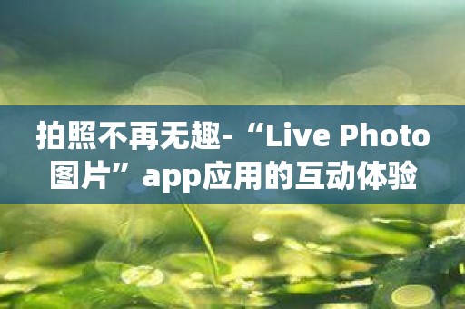 拍照不再无趣-“Live Photo图片”app应用的互动体验