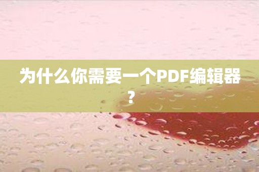 为什么你需要一个PDF编辑器？