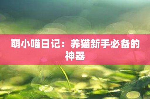 萌小喵日记：养猫新手必备的神器