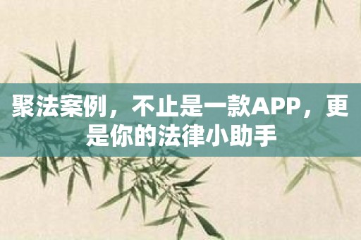 聚法案例，不止是一款APP，更是你的法律小助手