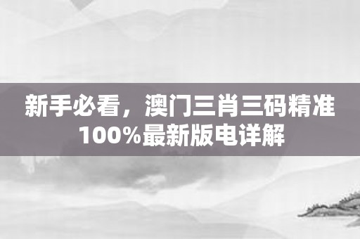 新手必看，澳门三肖三码精准100%最新版电详解