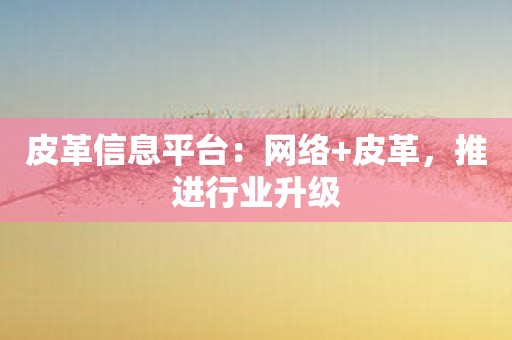 皮革信息平台：网络+皮革，推进行业升级