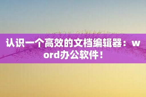 认识一个高效的文档编辑器：word办公软件！