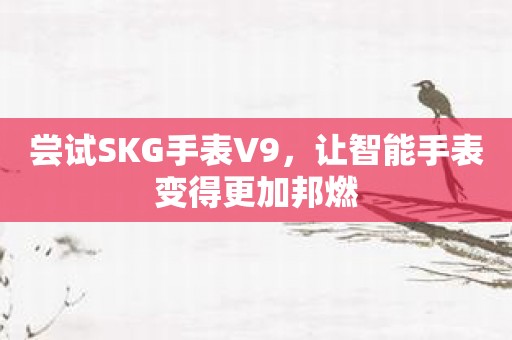 尝试SKG手表V9，让智能手表变得更加邦燃