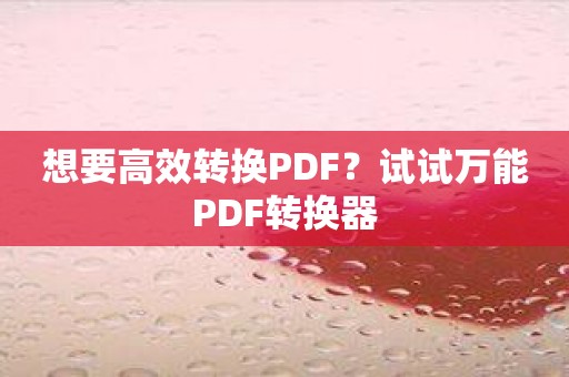 想要高效转换PDF？试试万能PDF转换器