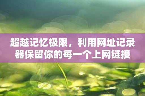 超越记忆极限，利用网址记录器保留你的每一个上网链接