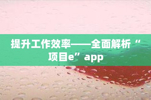 提升工作效率——全面解析“项目e”app