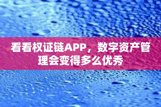 看看权证链APP，数字资产管理会变得多么优秀