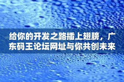 给你的开发之路插上翅膀，广东码王论坛网址与你共创未来！