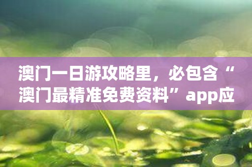 澳门一日游攻略里，必包含“澳门最精准免费资料”app应用！