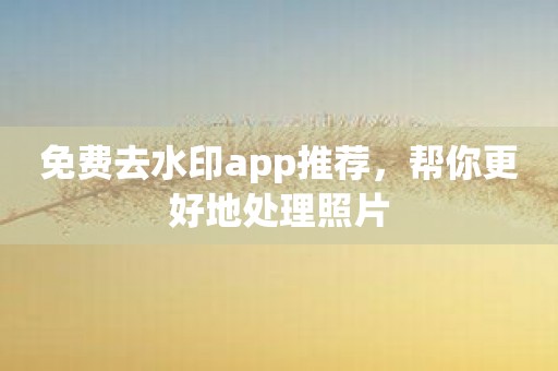 免费去水印app推荐，帮你更好地处理照片