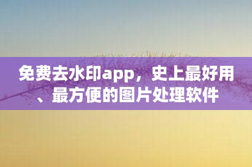 免费去水印app，史上最好用、最方便的图片处理软件