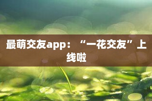 最萌交友app：“一花交友”上线啦