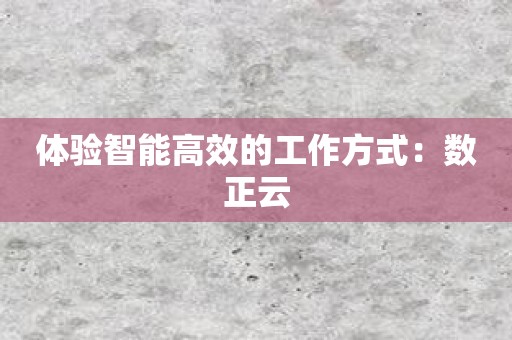 体验智能高效的工作方式：数正云