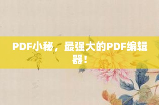 PDF小秘，最强大的PDF编辑器！