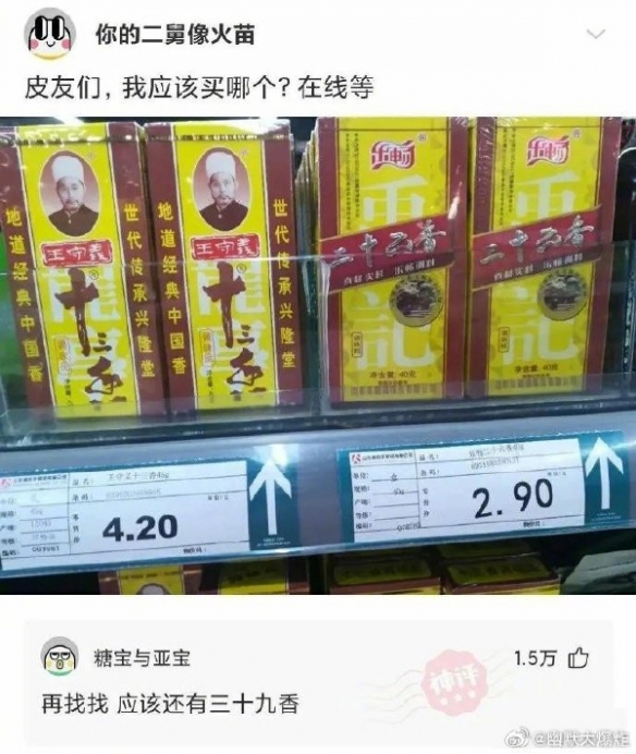 使徒是什么意思