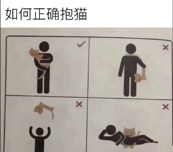 使徒是什么意思