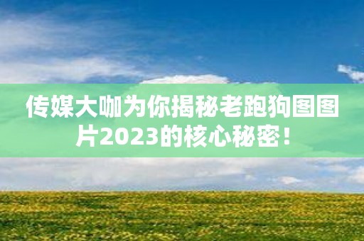 传媒大咖为你揭秘老跑狗图图片2023的核心秘密！