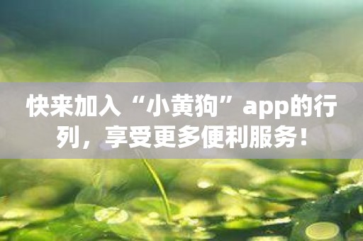 快来加入“小黄狗”app的行列，享受更多便利服务！