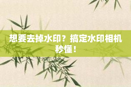 想要去掉水印？搞定水印相机秒懂！