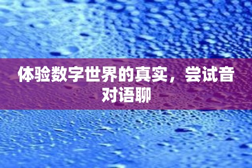 体验数字世界的真实，尝试音对语聊