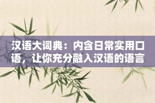 汉语大词典：内含日常实用口语，让你充分融入汉语的语言世界！