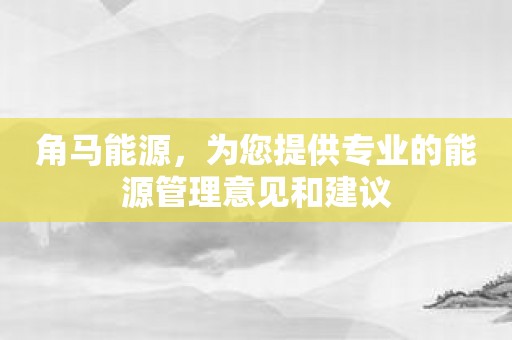 角马能源，为您提供专业的能源管理意见和建议