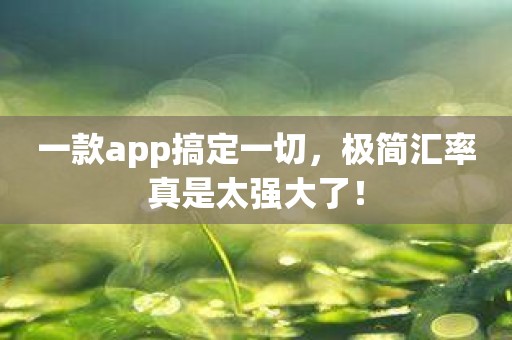 一款app搞定一切，极简汇率真是太强大了！