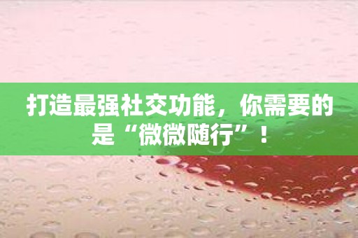 打造最强社交功能，你需要的是“微微随行”！