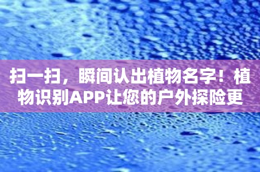 扫一扫，瞬间认出植物名字！植物识别APP让您的户外探险更有趣