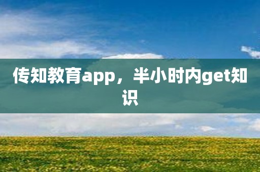 传知教育app，半小时内get知识