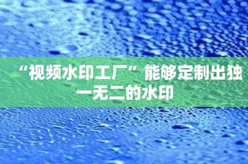 “视频水印工厂”能够定制出独一无二的水印