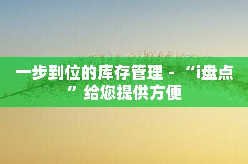 一步到位的库存管理 - “i盘点”给您提供方便