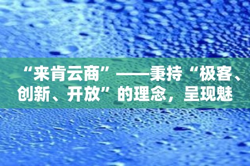 “来肯云商”——秉持“极客、创新、开放”的理念，呈现魅力力！