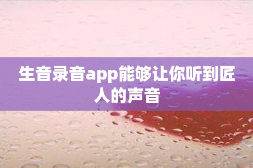 生音录音app能够让你听到匠人的声音