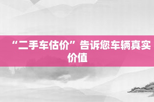 “二手车估价”告诉您车辆真实价值