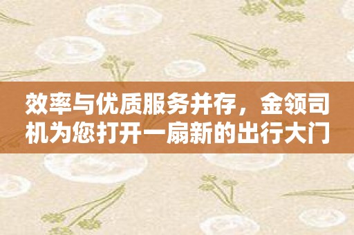 效率与优质服务并存，金领司机为您打开一扇新的出行大门