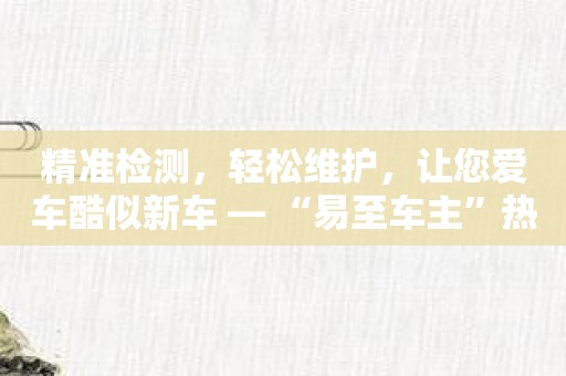 精准检测，轻松维护，让您爱车酷似新车 — “易至车主”热销推荐！