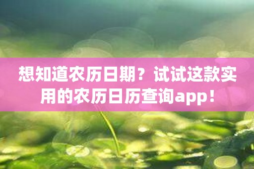 想知道农历日期？试试这款实用的农历日历查询app！