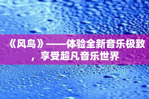 《风鸟》——体验全新音乐极致，享受超凡音乐世界