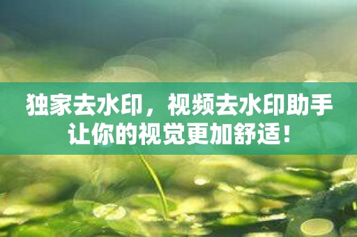 独家去水印，视频去水印助手让你的视觉更加舒适！