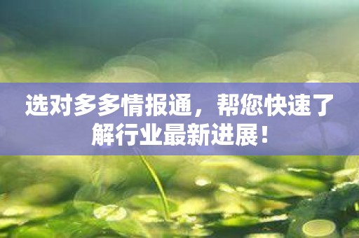 选对多多情报通，帮您快速了解行业最新进展！