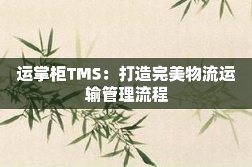 运掌柜TMS：打造完美物流运输管理流程