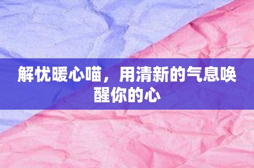 解忧暖心喵，用清新的气息唤醒你的心