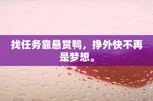 找任务靠悬赏鸭，挣外快不再是梦想。